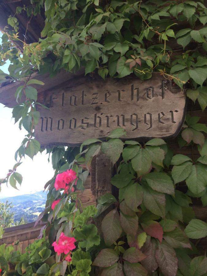 Apartamento Flatzerhof Haus im Ennstal Exterior foto